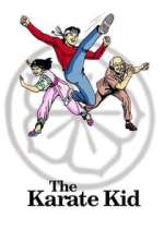 Watch The Karate Kid Movies123