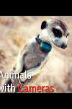 Watch Animals with Cameras Movies123