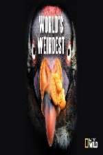 Watch National Geographic Worlds weirdest Movies123
