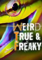 Watch Weird, True & Freaky Movies123