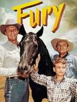 Watch Fury Movies123