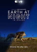 Watch Earth At Night In Color Movies123
