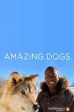 Watch Amazing Dogs Movies123