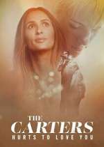 Watch The Carters: Hurts To Love You Movies123