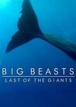 Watch Big Beasts: Last of the Giants Movies123