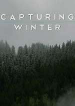 Watch Capturing Winter Movies123