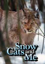Watch Snow Cats and Me Movies123