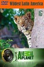 Watch Wildest Latin America Movies123