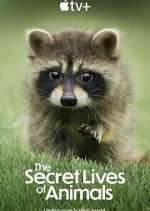 Watch The Secret Lives of Animals Movies123