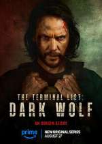 Watch The Terminal List: Dark Wolf Movies123