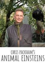 Watch Chris Packham's Animal Einsteins Movies123