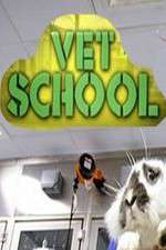 Watch Vet School Movies123