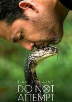 Watch David Blaine Do Not Attempt Movies123