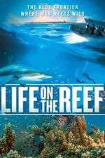 Watch Life on the Reef Movies123