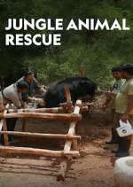 Watch Jungle Animal Rescue Movies123