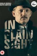 Watch In Plain Sight Movies123
