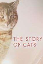 Watch The Story of Cats Movies123