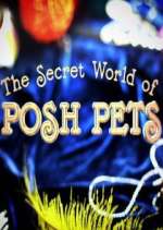 Watch The Secret World of Posh Pets Movies123