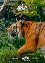 Watch Wild Heroes Movies123
