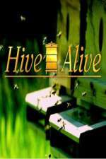 Watch Hive Alive Movies123