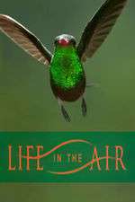 Watch Life in the Air Movies123
