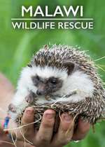 Watch Malawi Wildlife Rescue Movies123