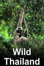 Watch Wild Thailand Movies123