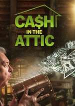 Watch Cash in the Attic Movies123