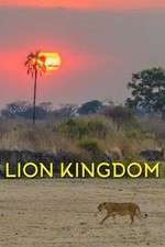 Watch Lion Kingdom Movies123