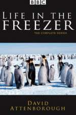 Watch Life in the Freezer Movies123