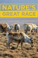 Watch Nature's Great Race Movies123