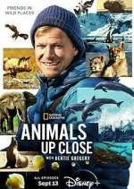Watch Animals Up Close with Bertie Gregory Movies123