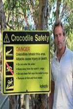 Watch Swimming With Crocodiles Movies123