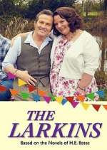 Watch The Larkins Movies123