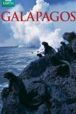 Watch Galapagos Movies123