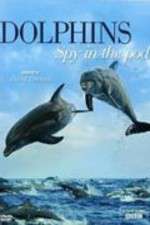 Watch Dolphins: Spy in the Pod Movies123