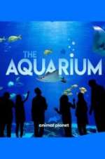 Watch The Aquarium Movies123