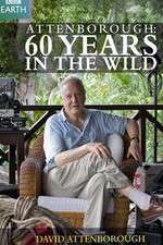 Watch Attenborough 60 Years in the Wild Movies123