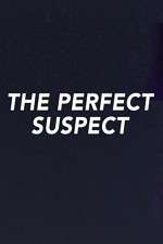 Watch The Perfect Suspect Movies123
