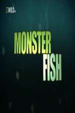 Watch National Geographic Monster Fish Movies123