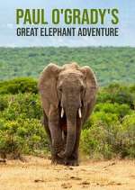 Watch Paul O'Grady's Great Elephant Adventure Movies123
