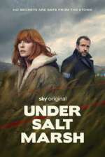 under salt marsh season 1 episode 3 tv poster