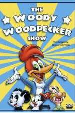 Watch The Woody Woodpecker Show Movies123