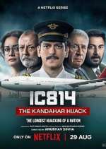 Watch IC 814: The Kandahar Hijack Movies123