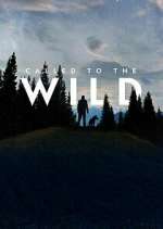 Watch Called to the Wild Movies123