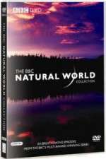 Watch The Natural World Movies123