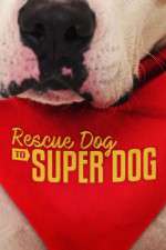 Watch Rescue Dog to Super Dog (US) Movies123