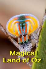 Watch Magical Land of Oz Movies123