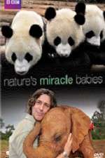 Watch Natures Miracle Babies Movies123