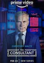 Watch The Consultant Movies123